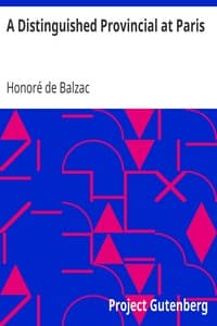 A Distinguished Provincial at Paris book cover