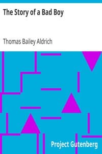 The Story of a Bad Boy book cover