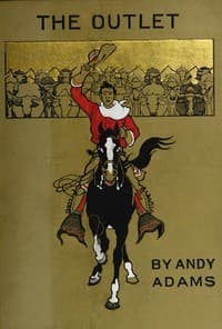 The Outlet book cover