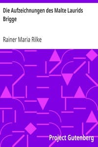 Die Aufzeichnungen des Malte Laurids Brigge book cover