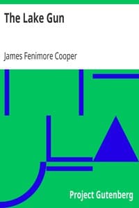 The Lake Gun book cover
