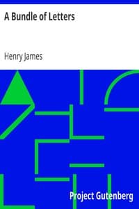 A Bundle of Letters book cover