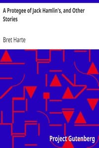 A Protegee of Jack Hamlin's, and Other Stories book cover