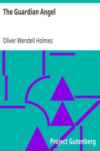 The Guardian Angel book cover