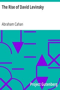 The Rise of David Levinsky book cover