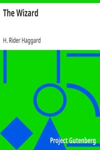 The Wizard book cover