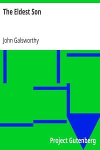 The Eldest Son book cover