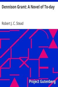 Dennison Grant: A Novel of To-day book cover