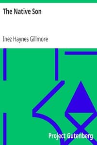 The Native Son book cover