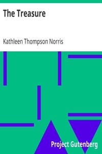 The Treasure book cover