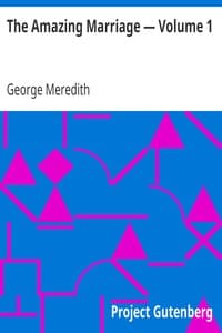 The Amazing Marriage — Volume 1