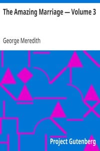 The Amazing Marriage — Volume 3 book cover