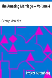 The Amazing Marriage — Volume 4 book cover