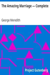 The Amazing Marriage — Complete book cover