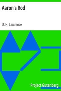 Aaron's Rod book cover