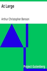 At Large book cover