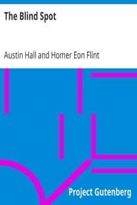 The Blind Spot book cover
