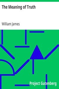 The Meaning of Truth book cover
