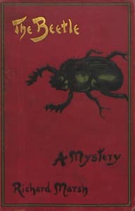 The Beetle: A Mystery book cover