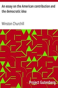 An essay on the American contribution and the democratic idea