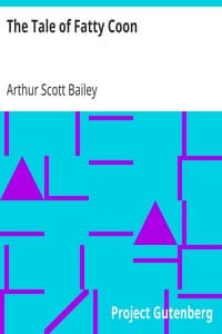 The Tale of Fatty Coon book cover