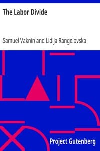 The Labor Divide book cover