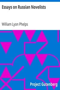 Essays on Russian Novelists