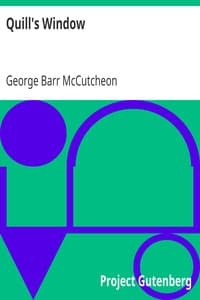 Quill's Window book cover