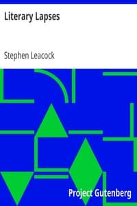 Literary Lapses book cover