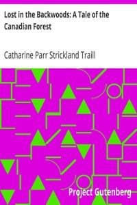 Lost in the Backwoods: A Tale of the Canadian Forest