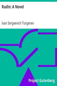 Rudin: A Novel book cover
