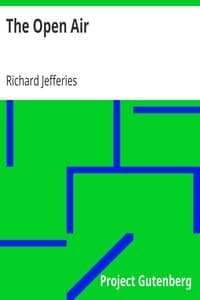 The Open Air book cover