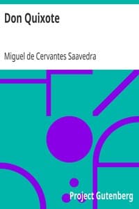 Don Quixote book cover