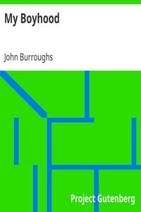 My Boyhood book cover