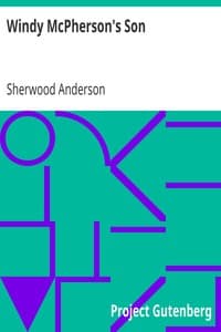 Windy McPherson's Son book cover