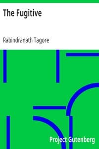 The Fugitive book cover