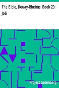 The Bible, Douay-Rheims, Book 20: Job
The Challoner Revision book cover