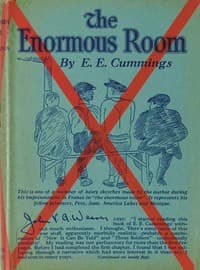 The Enormous Room book cover