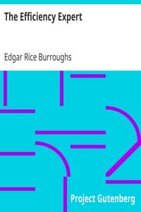 The Efficiency Expert book cover
