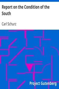 Report on the Condition of the South book cover