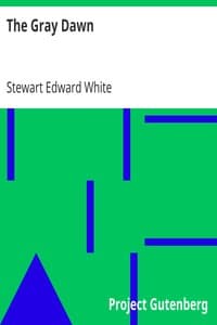The Gray Dawn book cover