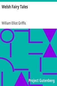 Welsh Fairy Tales book cover