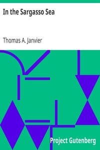 In the Sargasso Sea
A Novel