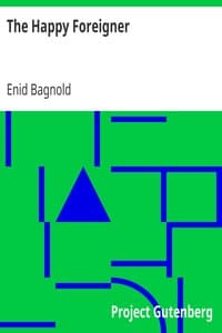 The Happy Foreigner book cover