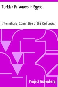 Turkish Prisoners in Egypt
A Report by the Delegates of the International Committee of the Red Cross