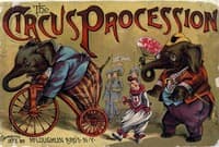 The Circus Procession book cover