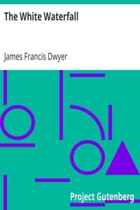 The White Waterfall book cover