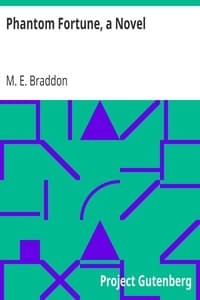 Phantom Fortune, a Novel book cover