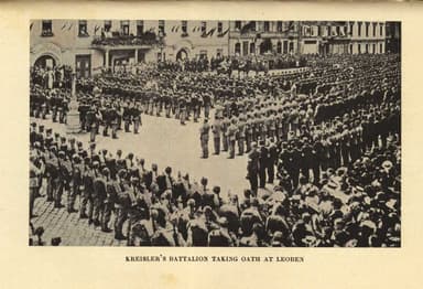 Four Weeks in the Trenches: The War Story of a Violinist