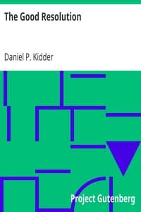 The Good Resolution book cover